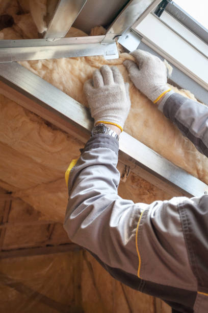Best Spray Foam Insulation  in Dawson, GA