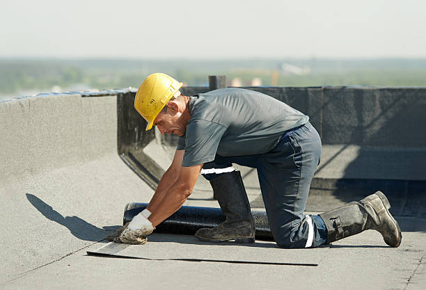 Best Soundproof Insulation Installation  in Dawson, GA